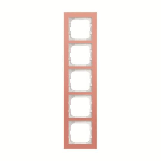 Busch-Jaeger 2CKA001754A4769 1725-227 5-way cover frame