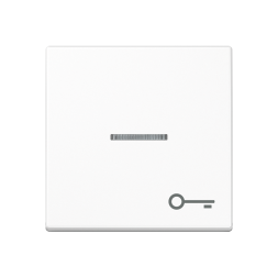 Jung A590BFKO5TWW rocker with light guide, symbol door, thermoplastic, series A, alpine white