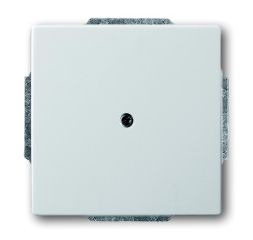 Busch-Jaeger 1749-866 central plate, with support ring stainless steel