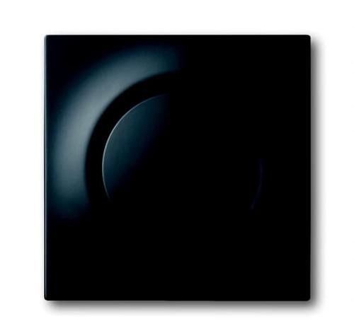 Busch-Jaeger 6540-775 central plate, with rotary knob, fixing nut and glow lamp, matt black