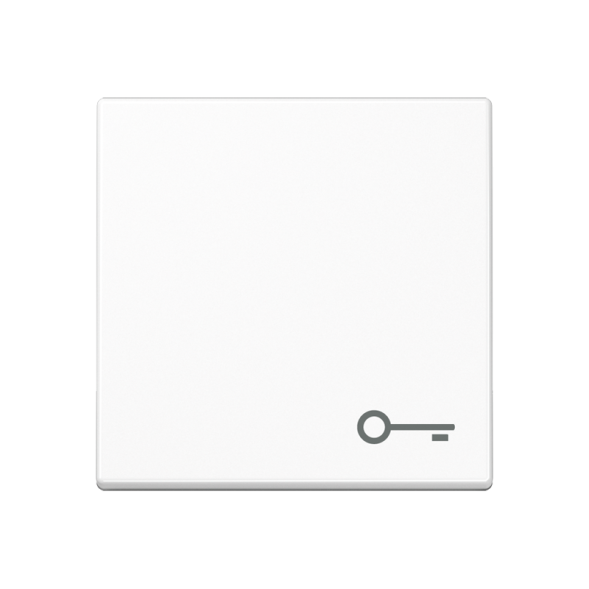 Jung A590BFTWW rocker switch, symbol door, thermoplastic, series A, alpine white