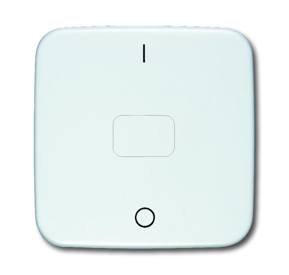 Busch-Jaeger 2544-214 rocker with neutral symbol, screw-on (holding element) alpine white