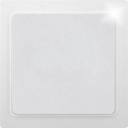 Eltako 30055641 BLA55E-pg E-Design55 polar white glossy blank cover