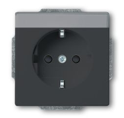 Busch-Jaeger 20 EUCNB-81 SCHUKO® socket insert, with label field anthracite