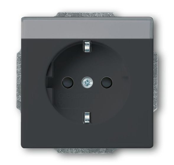 Busch-Jaeger 20 EUCNB-81 SCHUKO® socket insert, with label field anthracite