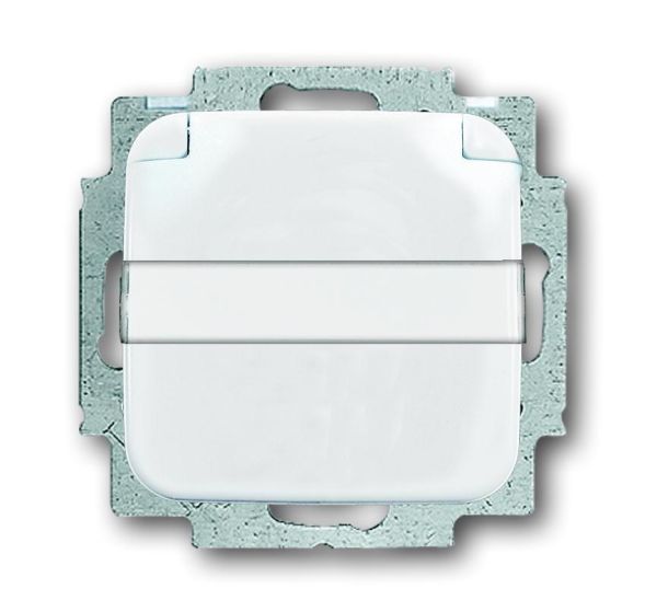 Busch-Jaeger 20 EUKNB-214 SCHUKO® socket insert, with hinged lid and labelling field alpine white