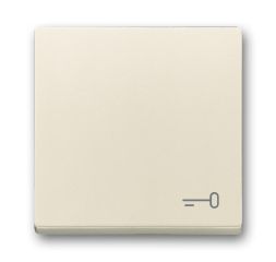 Busch-Jaeger 2520 TR-82 rocker with print ivory white
