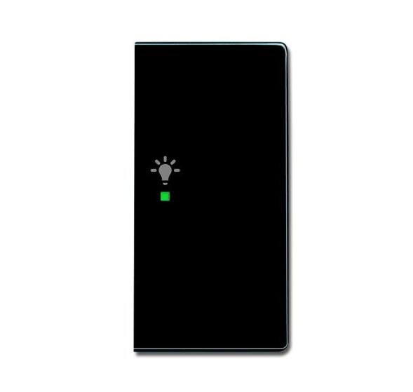 Busch-Jaeger 6231-22-81 rocker switch, 2-way right, with symbol &amp;#039;light&amp;#039; anthracite