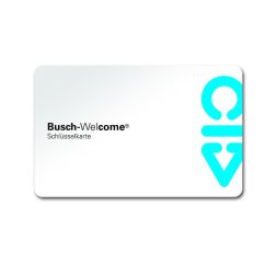 Busch-Jaeger 83173 key card