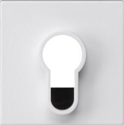 Gira 866427 key switch without cover Sys55 rw cover