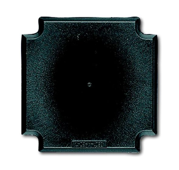 Busch-Jaeger 1710 base, for blind central plate