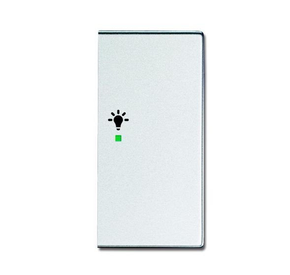 Busch-Jaeger 6231-22-83 rocker switch, 2-way right, with symbol &amp;#039;light&amp;#039; aluminum silver