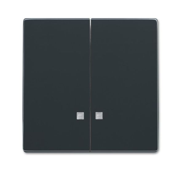 Busch-Jaeger 1785 K-81 rocker anthracite