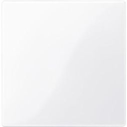 MERTEN 450025 Central plate active white glossy System M