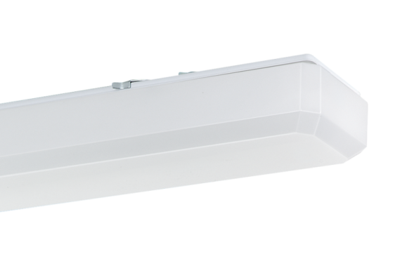 Ridi Leuchten 0550035 LFN-R2X120/25ND-OT LED diffuser light