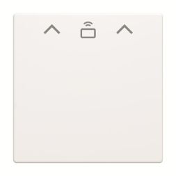 Busch-Jaeger 2CKA001710A4129 1792 RFID-884 card switch RFID central plate