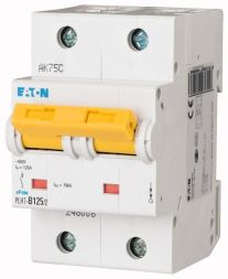 Eaton PLHT-B125/2 miniature circuit breaker, 125A, 2p, B-Char, 248006