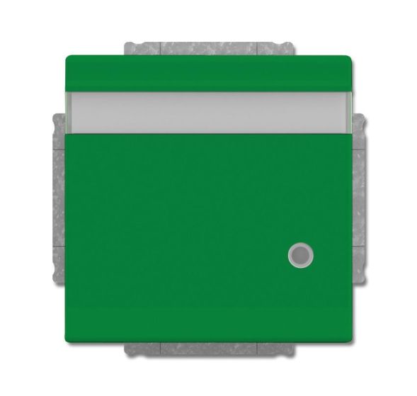 Busch-Jaeger 20 EUKNBL-13-82 SCHUKO® socket insert, with hinged lid, labelling field and LED control light green RAL 6032