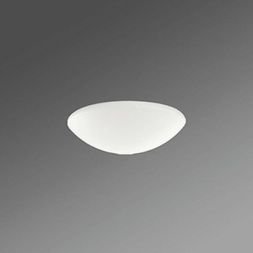 Regiolux 25310400111 WBLSPC 373 opal smooth replacement tray