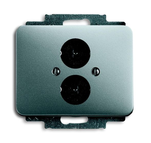 Busch-Jaeger 1751-266 Central plate, with support ring titanium