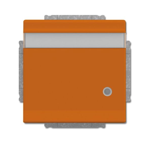 Busch-Jaeger 20 EUKNBL-14-82 SCHUKO® socket insert, with hinged lid, labelling field and LED control light orange RAL 2004