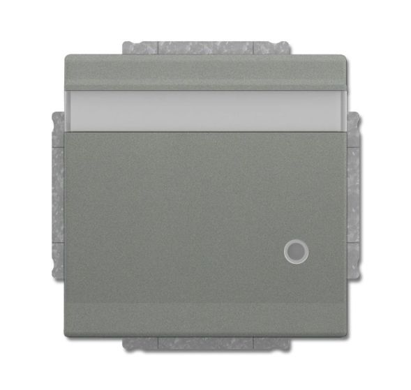 Busch-Jaeger 20 EUKNBL-803 SCHUKO® socket insert, with hinged lid, labelling field and LED control light, grey metallic