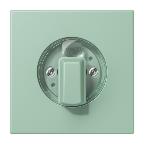 Jung LC1941217 cover for rotary switch, LS series, light green ( LC32041 )