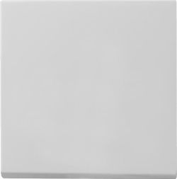 Gira 0296015 Sys 55 grey rocker