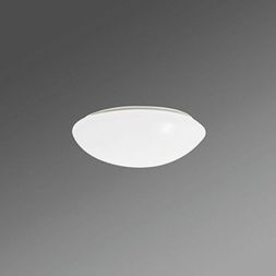 Regiolux 25316124111 WBLSPC/400 2100 830 ET IP65 vw LED wall / ceiling light