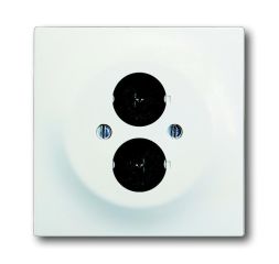 Busch-Jaeger 1751-774 Central plate, with support ring studio white matt