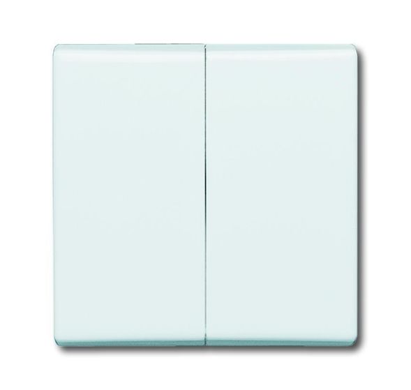 Busch-Jaeger 2105-32 rocker white