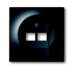 Busch-Jaeger 1803-02-775 central plate, 2-way black matt