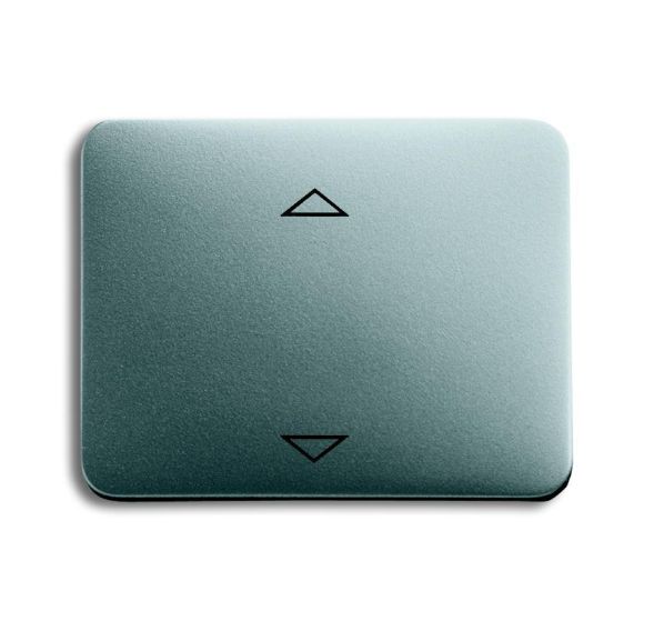 Busch-Jaeger 6430-266-102 control element titanium