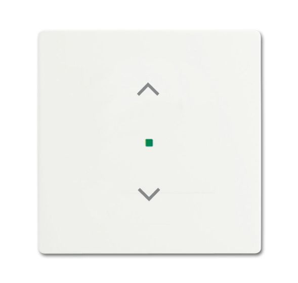 Busch-Jaeger 6232-10-884 Rocker switch, 1-way, with symbol &amp;#039;Blind&amp;#039; studio white matt