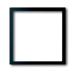 Busch-Jaeger 1716-775 central plate black matt