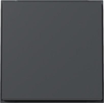 Gira 329667 TX44 WG UP anthr rocker