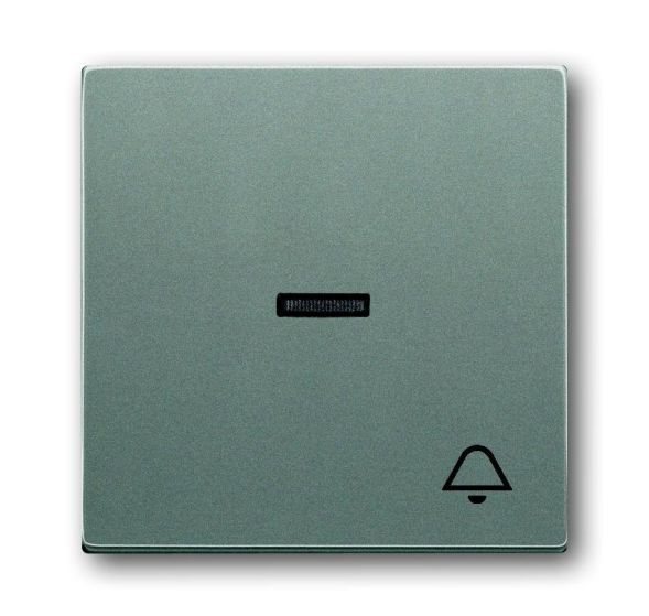 Busch-Jaeger 1789 KI-803 rocker with print, with small transparent dome, metallic grey