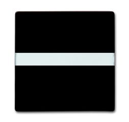 Busch-Jaeger 2106 N-31 rocker switch, with label field brown