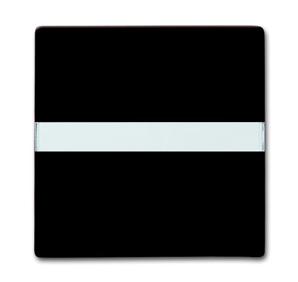 Busch-Jaeger 2106 N-31 rocker switch, with label field brown