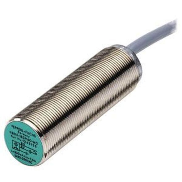Pepperl &amp;amp; Fuchs 124312 NBB5-18GM60-WO inductive sensor