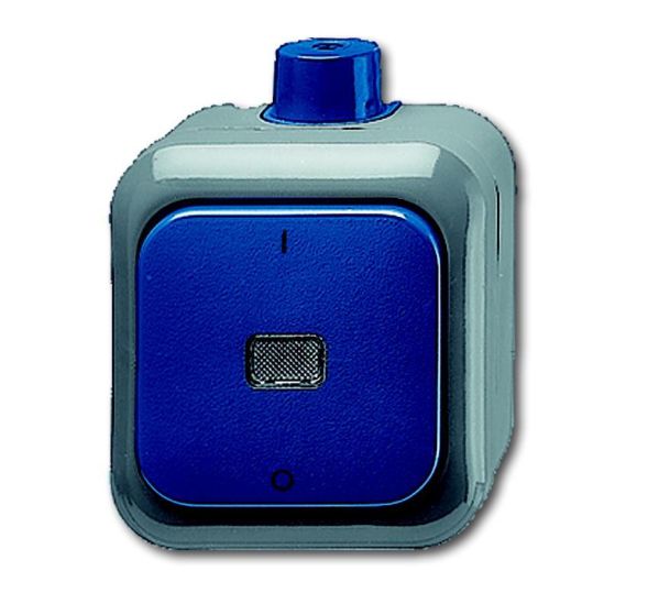 Busch-Jaeger 2601/2 WDI rocker switch, 2-pole, off switch