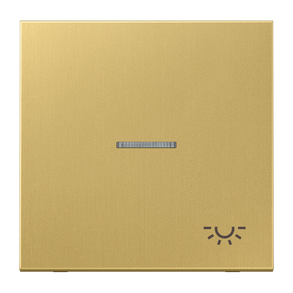 Jung ME2990KO5LC rocker switch 1-way with light guide, symbol light, brass, series LS, brass classic