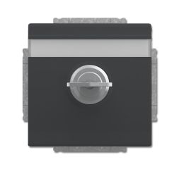 Busch-Jaeger 20 EUKNBSL-81 SCHUKO® socket insert, with hinged lid and lock anthracite