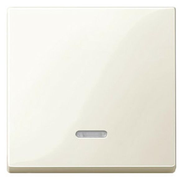 MERTEN 436044 white glossy System M rocker