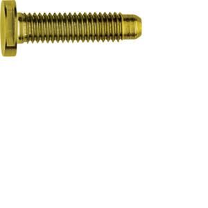 Elcom REH123Y Special ZY M5x25 PVD Brass Screw