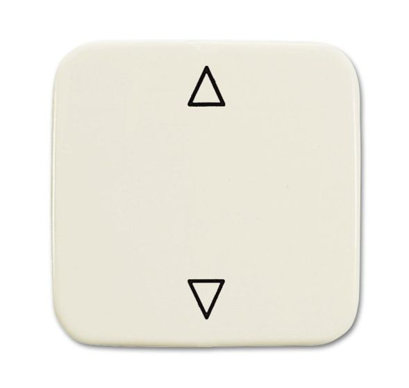 Busch-Jaeger 2506 JA/02-212 rocker, blind button white