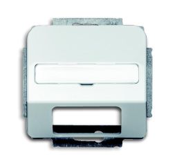 Busch-Jaeger 1769-214 Central plate, with label field alpine white