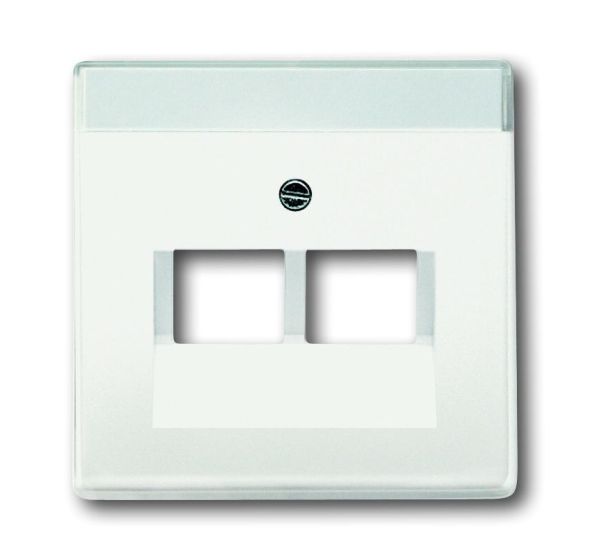 Busch-Jaeger 1803-02-884 Central plate, 2-way studio white matt