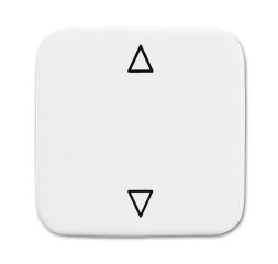 Busch-Jaeger 2506 JA/02-214 rocker, blind button alpine white