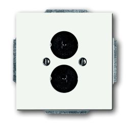 Busch-Jaeger 1751-884 Central plate, with support ring studio white matt